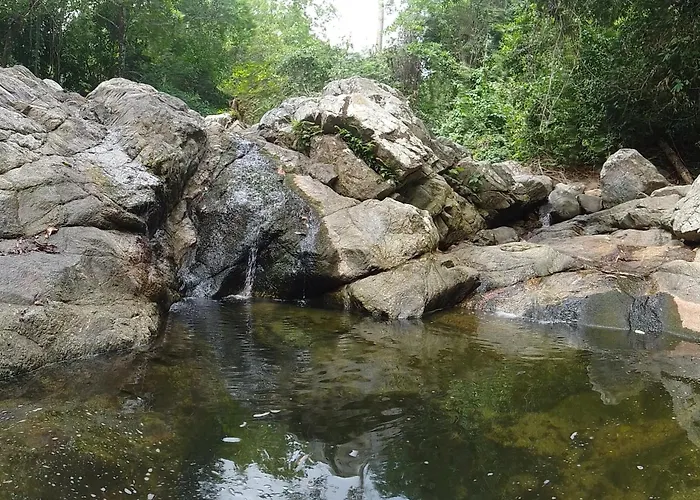 Ecocabanas Diosa Jaguar Tayrona