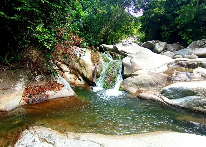Ecocabanas Diosa Jaguar Tayrona