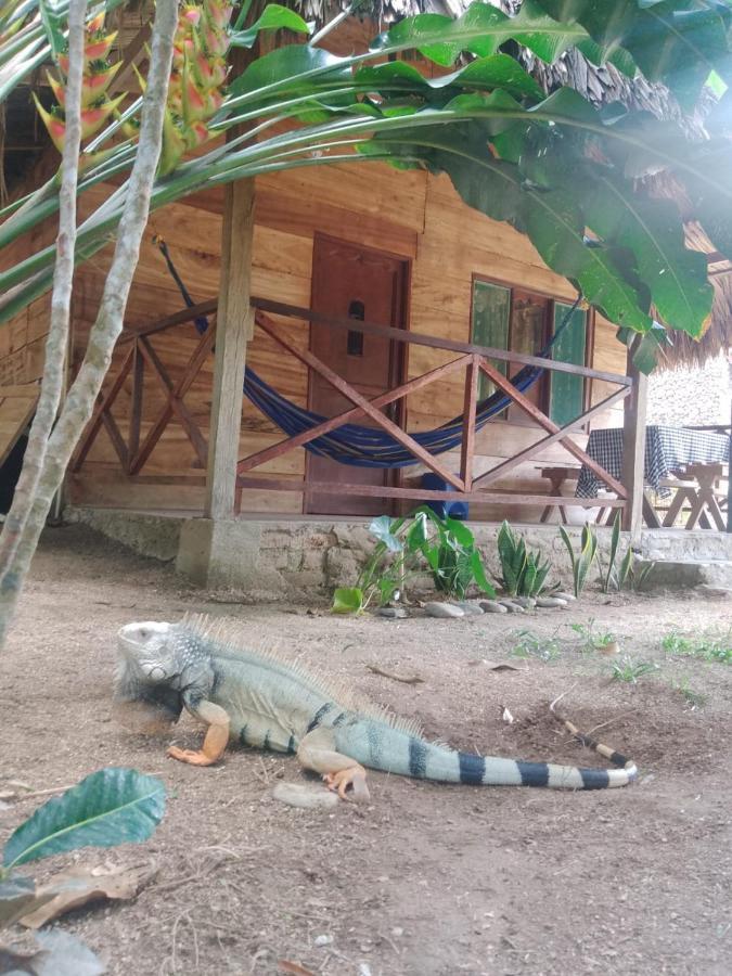 Maison d'hôtes Ecocabanas Diosa Jaguar Tayrona *