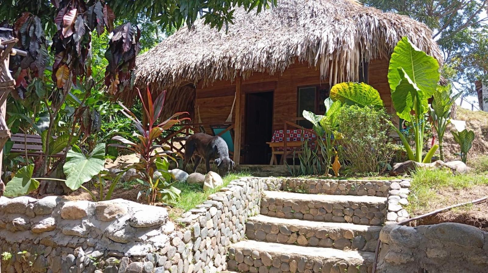 Ecocabanas Diosa Jaguar Tayrona