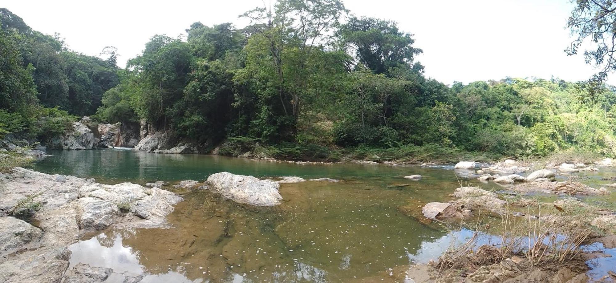 Maison d'hôtes Ecocabanas Diosa Jaguar Tayrona