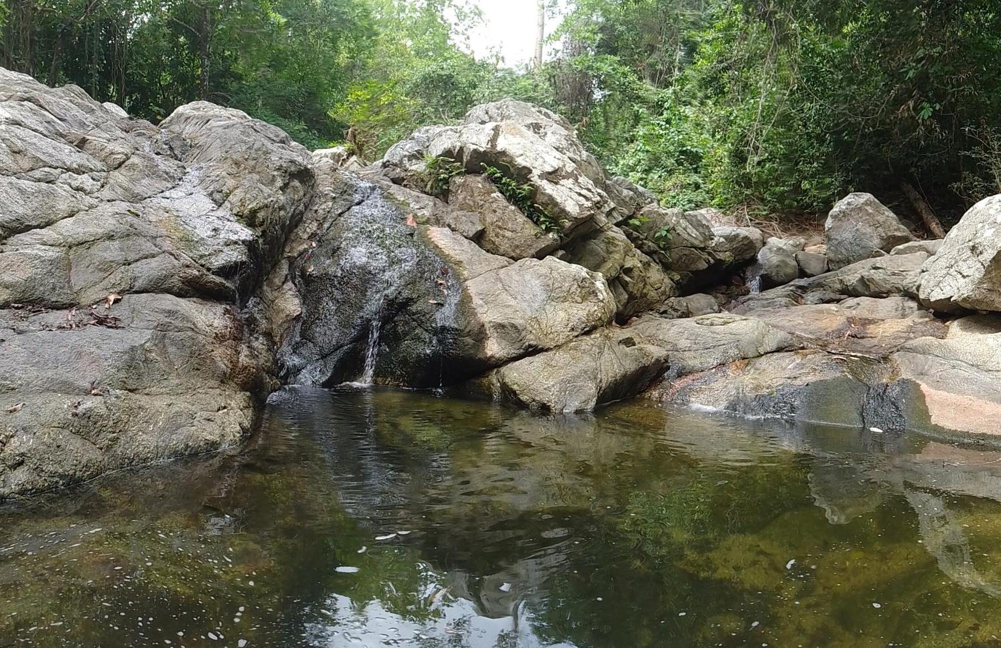 Maison d'hôtes Ecocabanas Diosa Jaguar Tayrona *