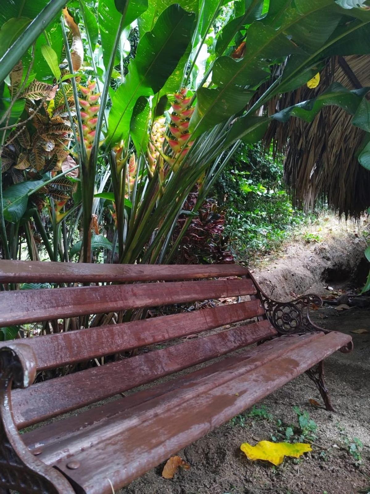 Ecocabanas Diosa Jaguar Tayrona Maison d'hôtes