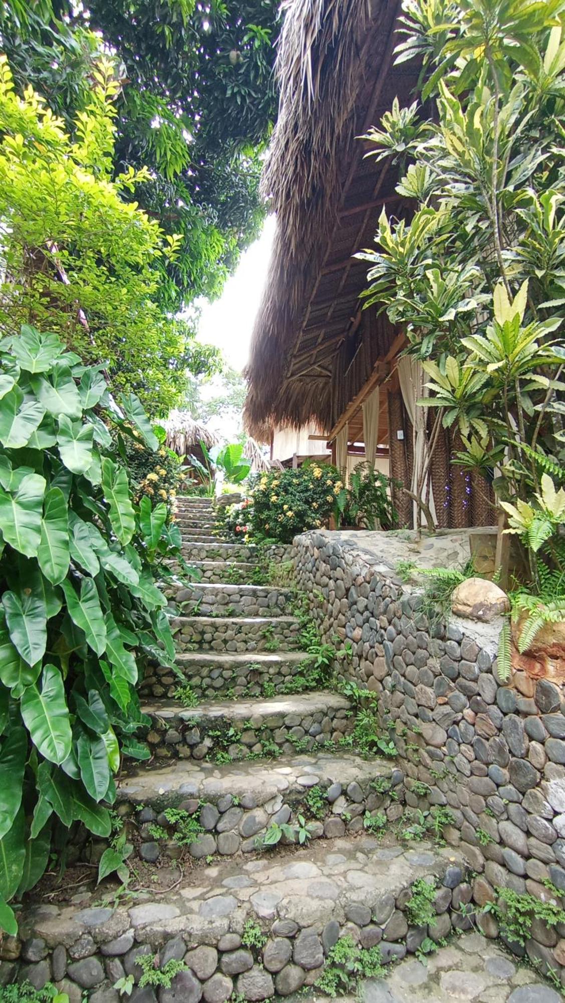 Maison d'hôtes Ecocabanas Diosa Jaguar Tayrona