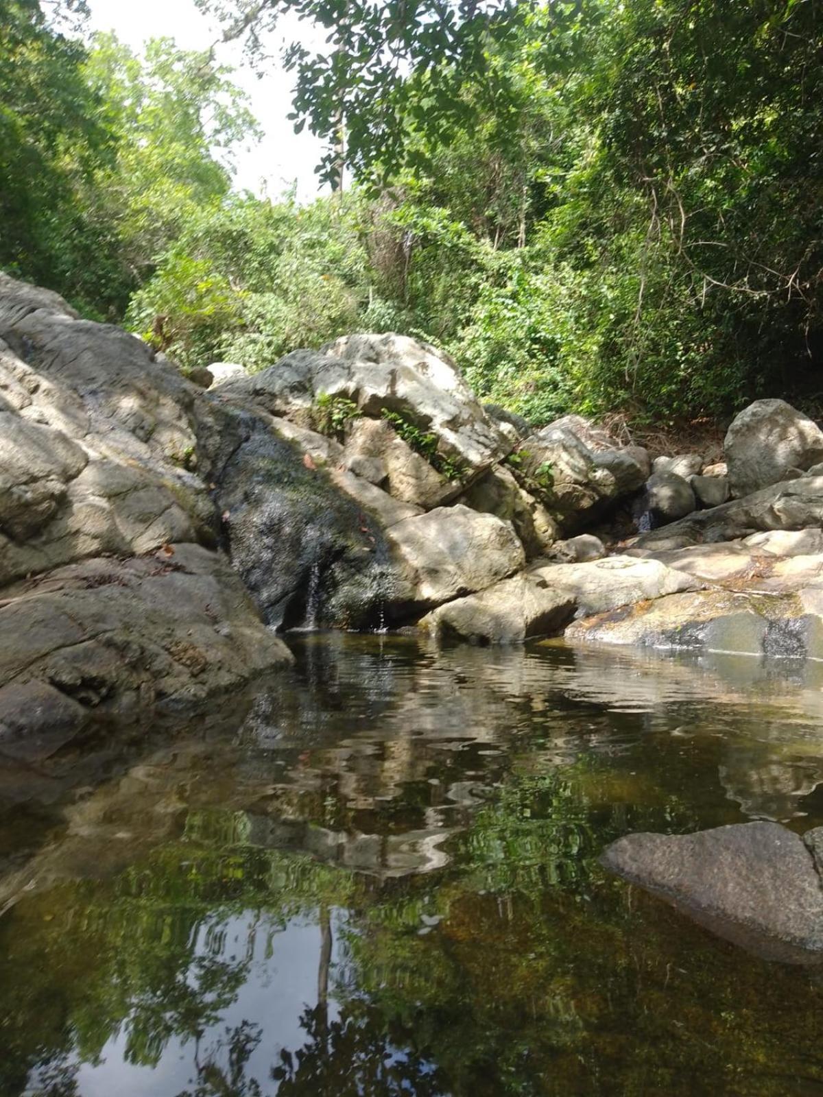 Ecocabanas Diosa Jaguar Tayrona Maison d'hôtes La Esmeralda (Magdalena)