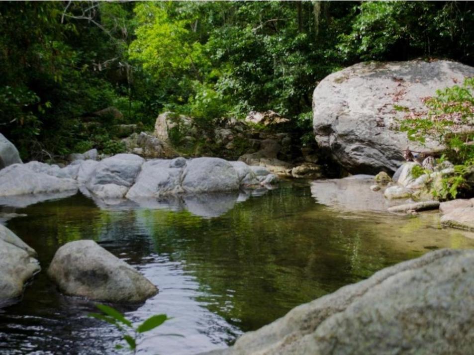 Ecocabanas Diosa Jaguar Tayrona Maison d'hôtes