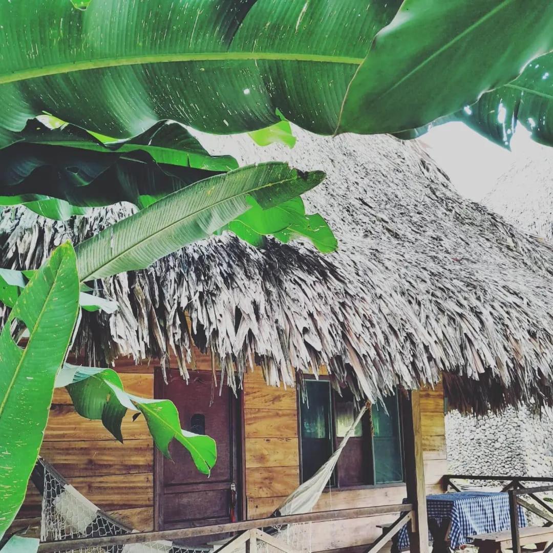 Ecocabanas Diosa Jaguar Tayrona *