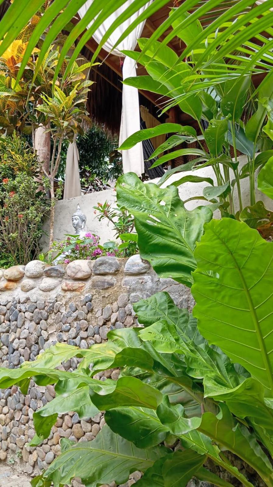 Pensión Ecocabanas Diosa Jaguar Tayrona