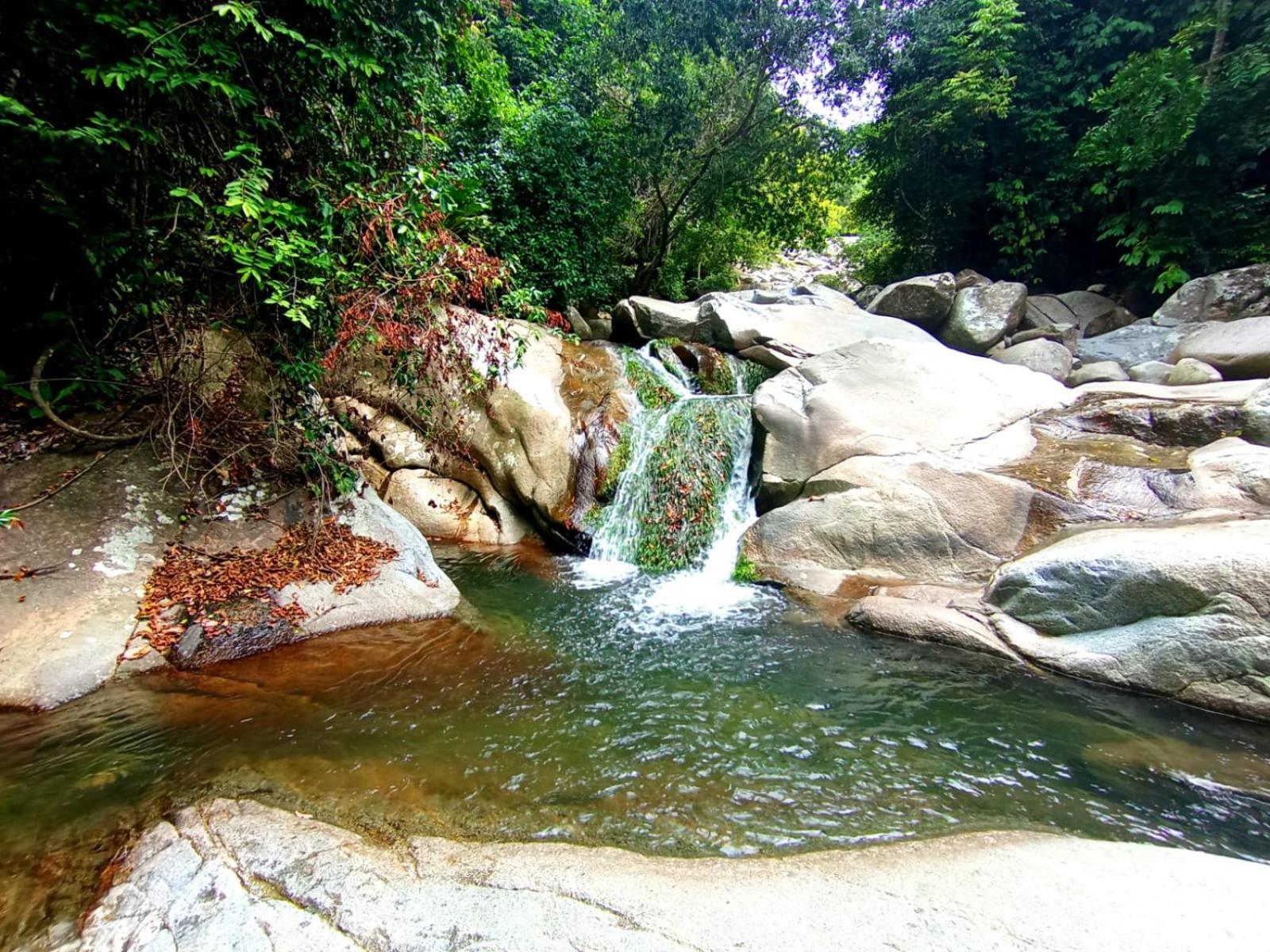Ecocabanas Diosa Jaguar Tayrona Pensión