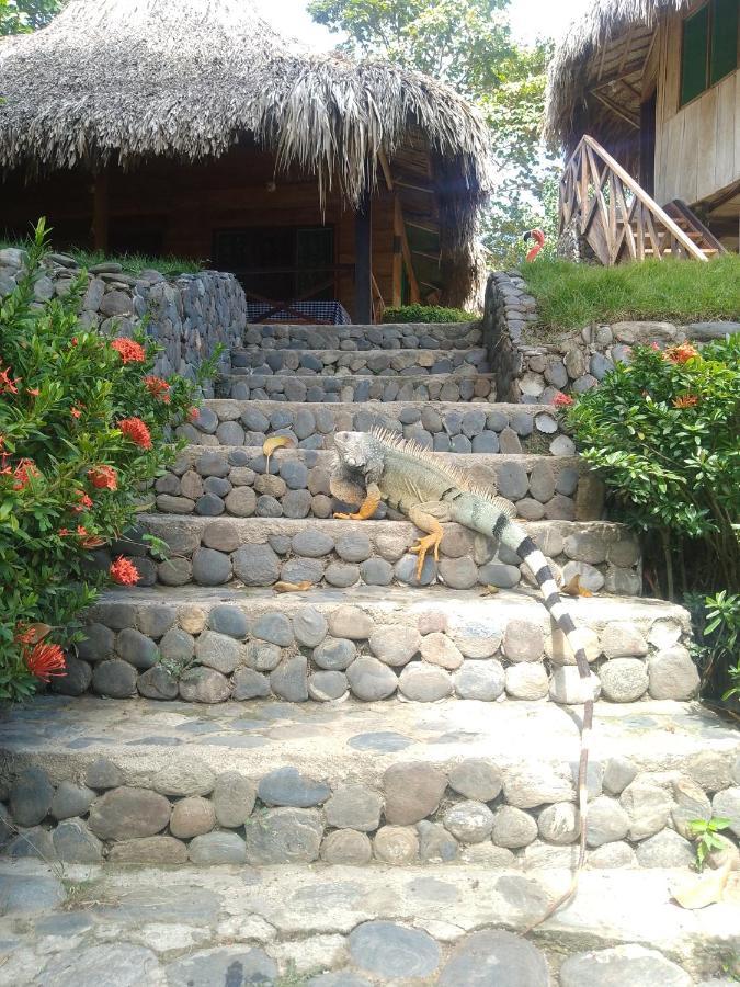 Ecocabanas Diosa Jaguar Tayrona Gasthof La Esmeralda (Magdalena)