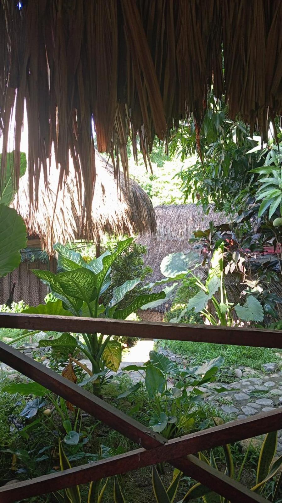 Gasthof Ecocabanas Diosa Jaguar Tayrona *